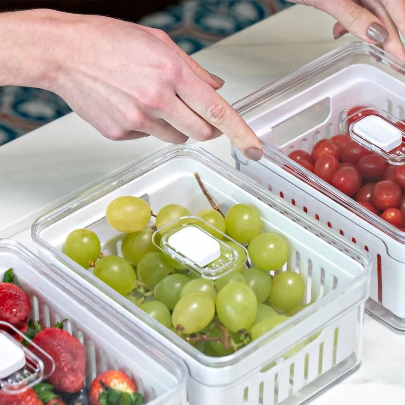 Organizador de Geladeira com Tampa e Cesto (Kit 4 Unidades)